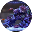 Dani Utiel lopez profile picture